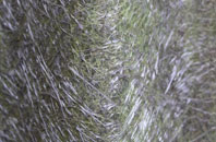 Middle Bickenhill fibreglass roof work